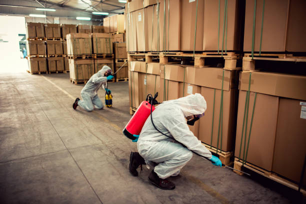 Best Affordable Pest Control Services  in Union Beach, NJ