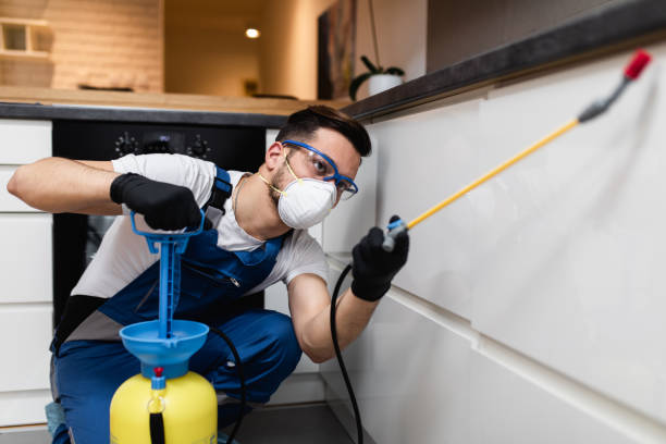 Best Pest Control for Homes  in Union Beach, NJ