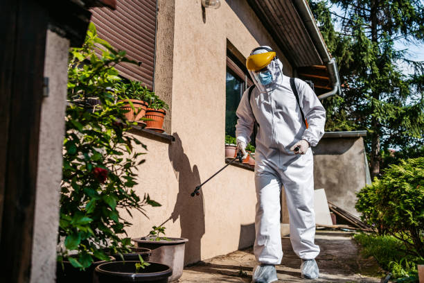 Best Local Pest Control Services  in Union Beach, NJ