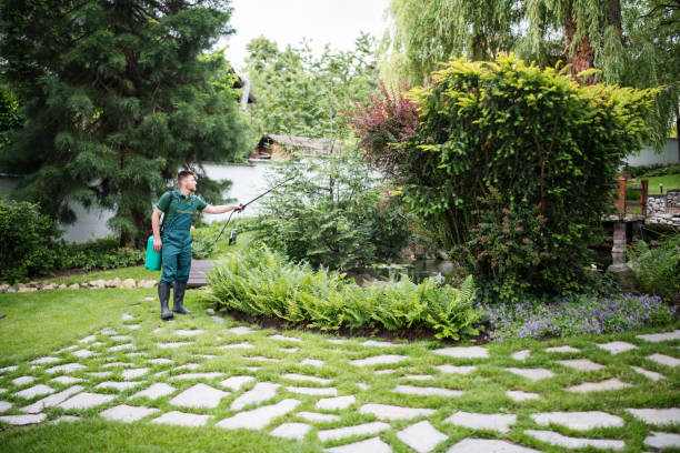 Best Pest Inspection Near Me  in Union Beach, NJ