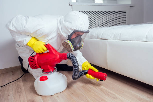 Professional Pest Control in Union Beach, NJ