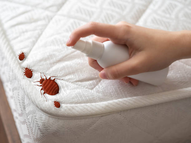 Best Pest Prevention Services  in Union Beach, NJ