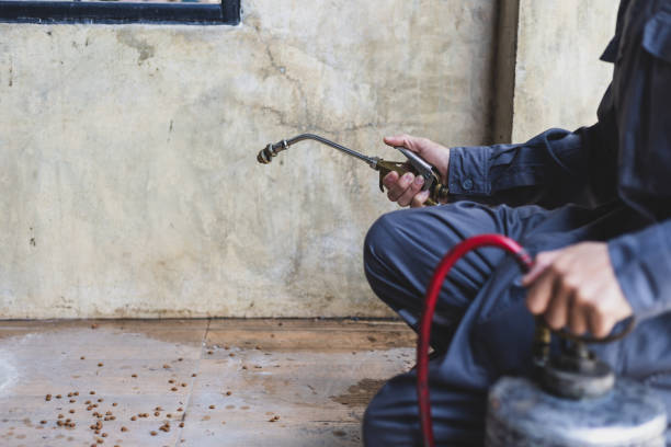 Best Exterminator Services  in Union Beach, NJ