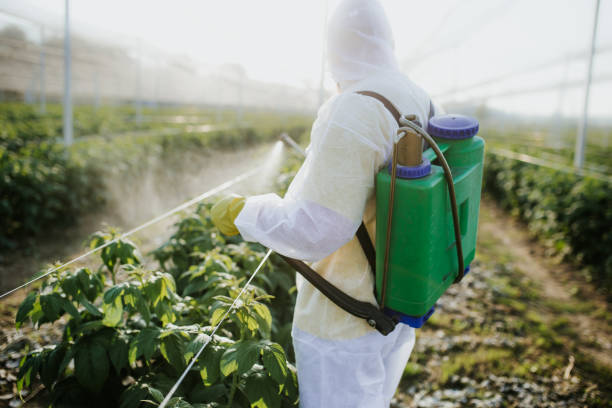 Best Best Pest Control Companies  in Union Beach, NJ
